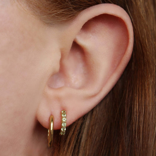 Gold Vermeil Oval Huggie Earrings - Rose and Wolf